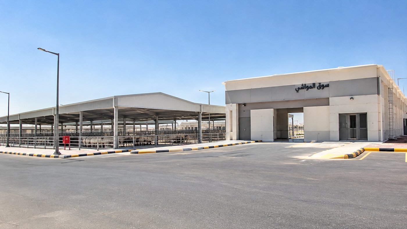 إنشاء أسواق ومسالخ بالخبراء